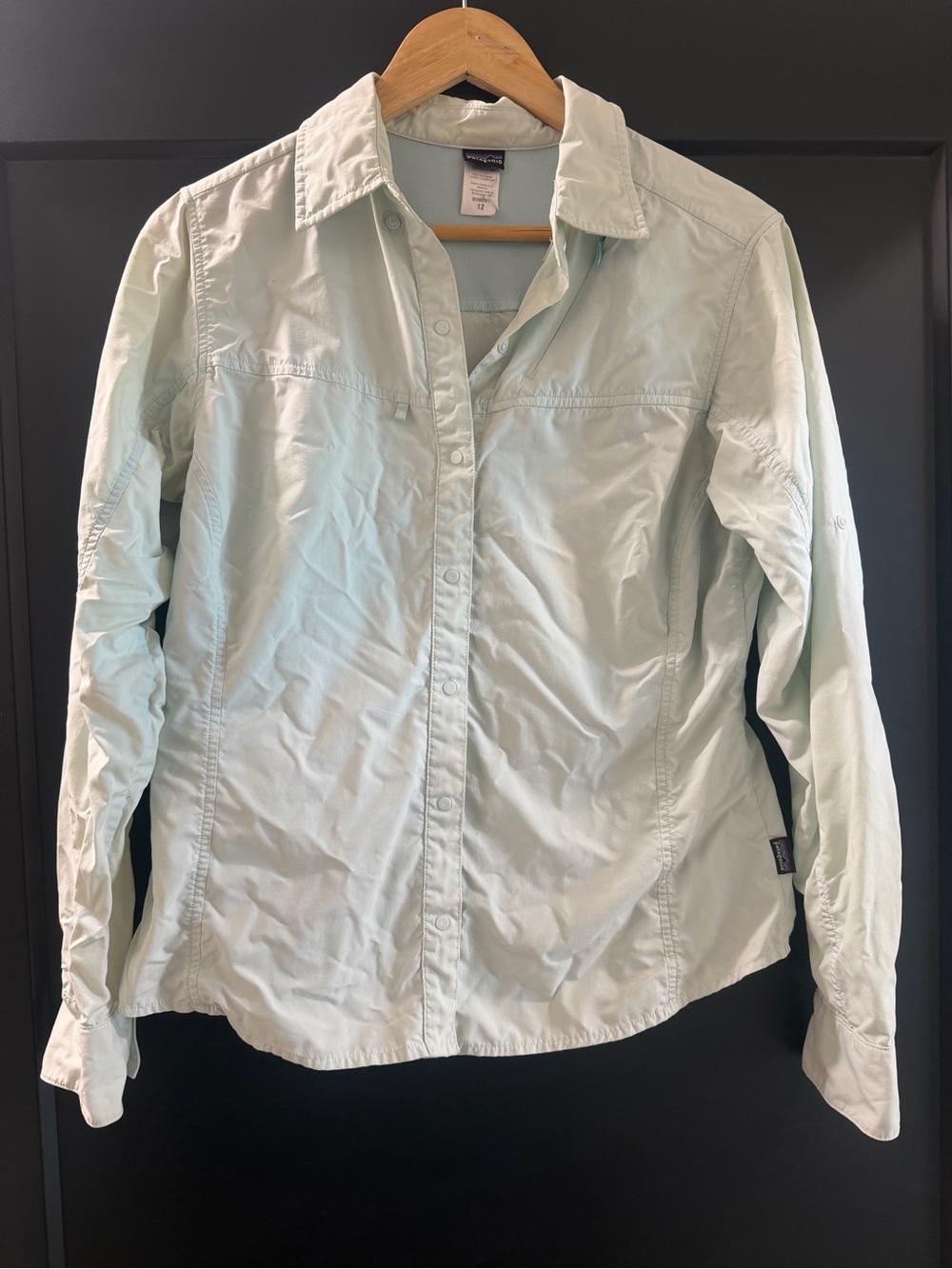 Patagonia Women's Mint Green Long-Sleeve Button-Down Shirt